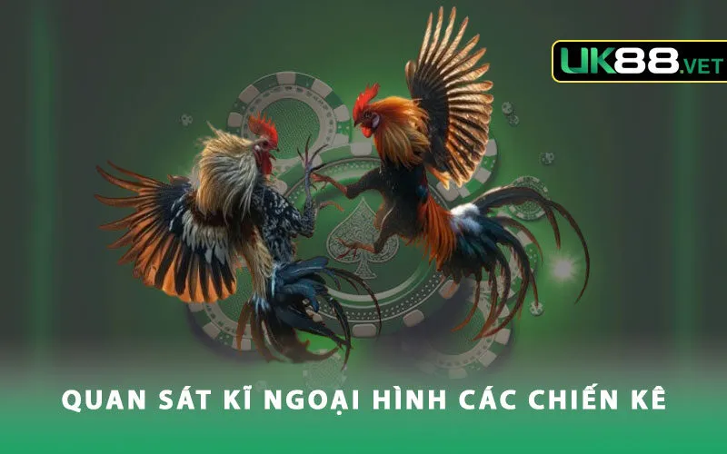 quan-sat-ki-ngoai-hinh-cac-chien-ke